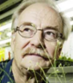 E. Tapio Palva