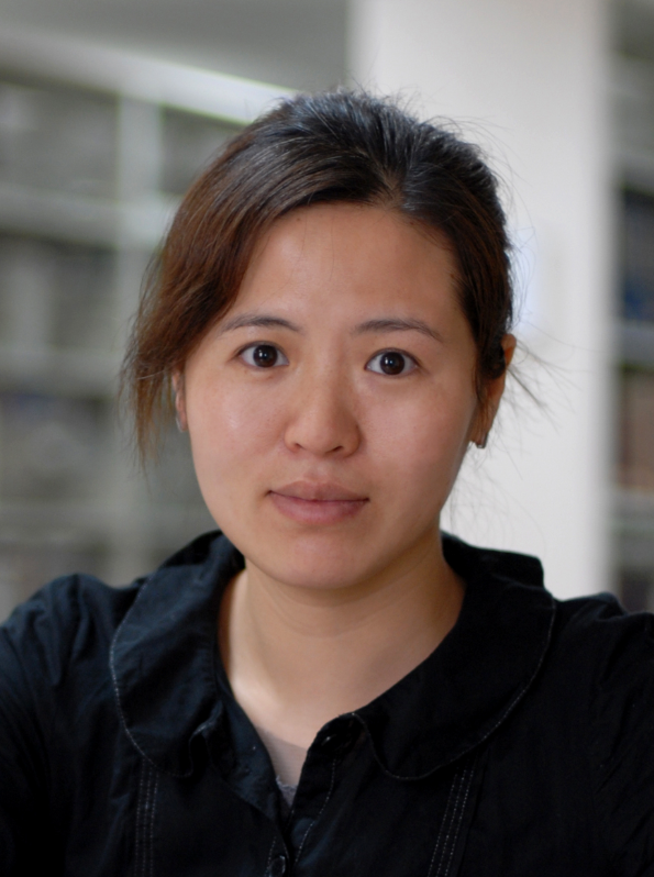 Xiying Wang