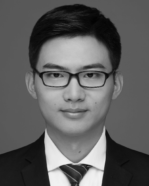 Dongxu Zhu