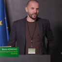 Boris Azinovic
