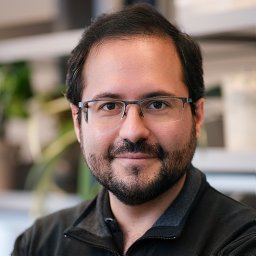 Gergely Rona