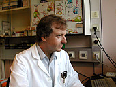 Werner Scheithauer