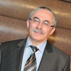 V. G. Dyskin