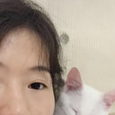Li Xue