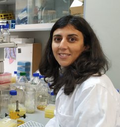 Belén Gómez-González