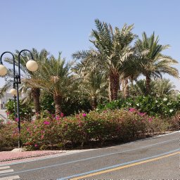 Moulayrachid Babaa