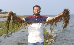 Haresh Kalasariya