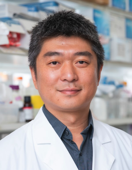 Jun Wu