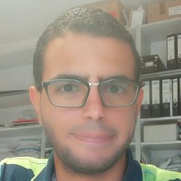 Mohamed Ibrahem Elhawy