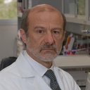 Guillermo M Ruiz-Palacios