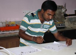 Srinivasan Murali