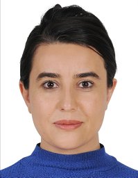Elvan Demirci