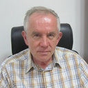 Vladimir Vatutin