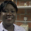 Toyin Adekanmbi