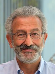 Nader Engheta