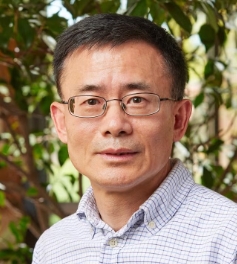 Xuhui Lee