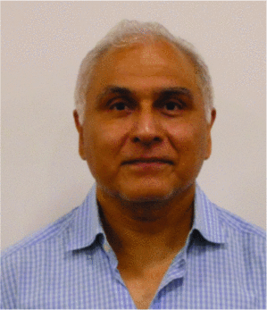 Walid A. Majid