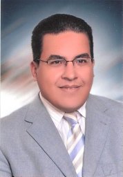 Amr M. Mahros