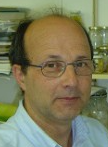 Enrique Macpherson Mayol