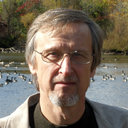 Vyacheslav M Andrianov