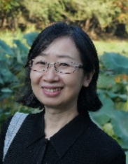 Liqing Ma