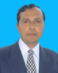 Arshad M Mirza