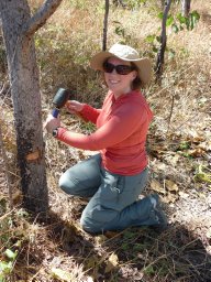 Allyson S. D. Eller