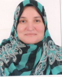 Hassan Wafaa