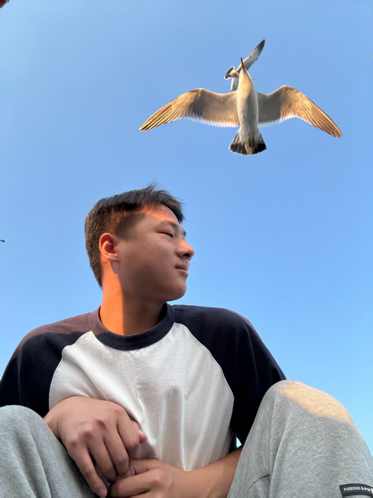 Haohao Wang