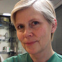 Lena Blomgren