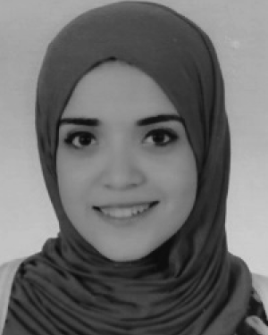 Sara M. Farid