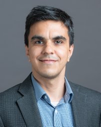 Sharma Vibhash D