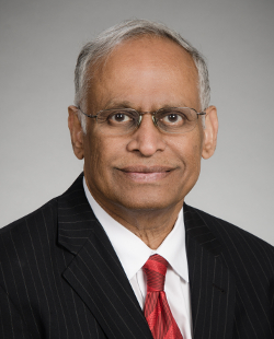 Laligam N. Sekhar