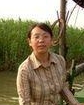 Shengmei Yang