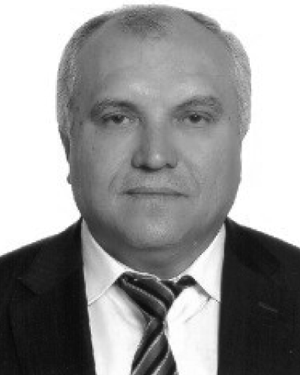 Halit Arslan