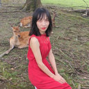 Xuejiao Wang