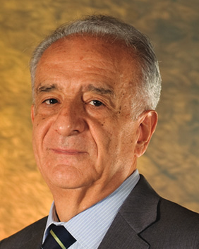 Adolfo Martinez Palomo