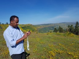 Teshome Hunduma Mulesa