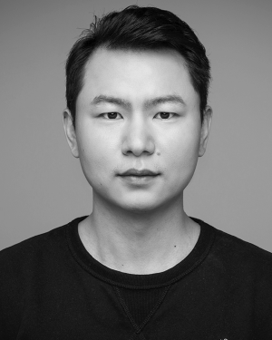 Qinglin Lu