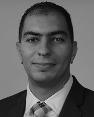 Ahmed Abdelmawgoud