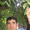 Marc Palahi