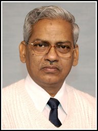 Srivastava J P