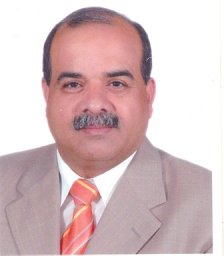 Magdy T. Zaky