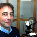 Stephane Egee
