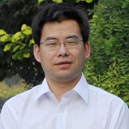 Limin Fu