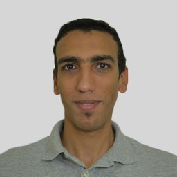 Ahmed H. Dallal