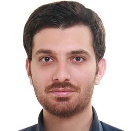Seyed Mohammad Ayyoubzadeh