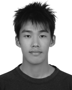 Richard H. Chen