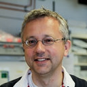 Jan-Willem de Gier