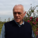 Daniele Bassi